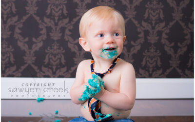 Brycen 1 Year :: Baby Photographer :: Turtle Lake, WI