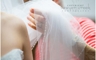 Tim & Elle :: Wedding Photographer :: Lindstrom, MN