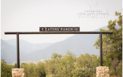 Beth & Matt :: Destination Wedding Photographer :: Sheridan, WY