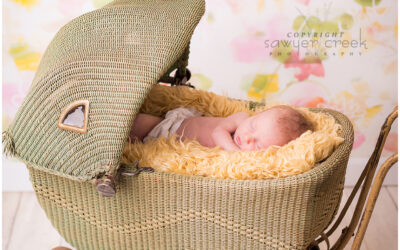 Olson Newborn :: Newborn Photographer :: Shell Lake, WI