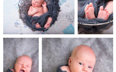 Newborn :: Baby Photographer :: Shell Lake, Wi