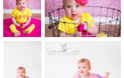 Harper 6 Month :: Baby Photographer :: Shell Lake, WI