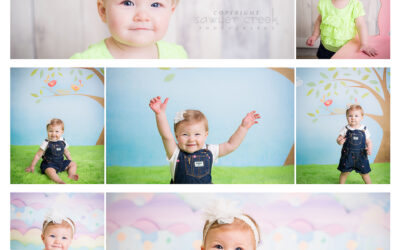 Heath 1 Year :: Baby Photographer :: Shell Lake, WI