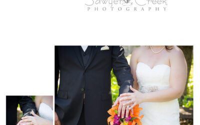 Dustin & Anna-Wedding Photograph-MN Arboretum