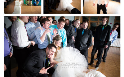 Dan & Monica :: Wedding Photographer :: Florian Gardens, Eau Claire, WI