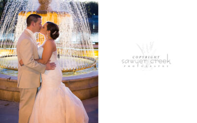 Brandon & Ann~Wedding Photographer~La Crosse, WI