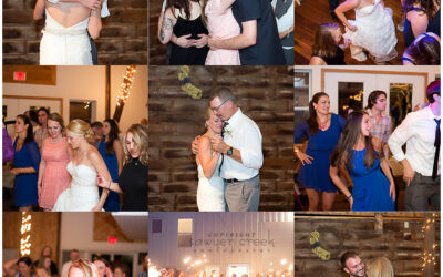 Wedding Photography: Deerfield, WI